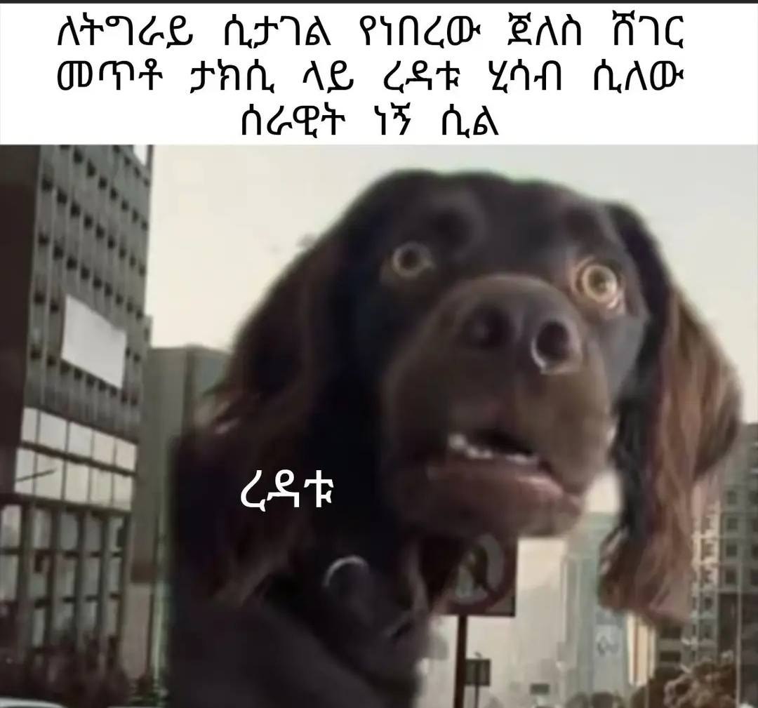 ሰራዊት ነኝ ሲል ለትግራይ ሲታገል የነበረው ጀለስ ሸገር nee VF AA ATAGE. AIA PiNdO BAN AIC